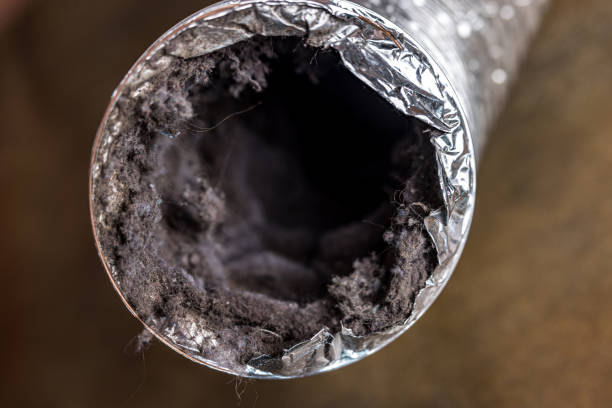 Best Best Air Duct Cleaning Company  in Milam, TX