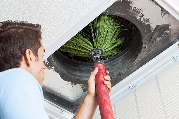 Best Air Duct Mold Removal  in Milam, TX